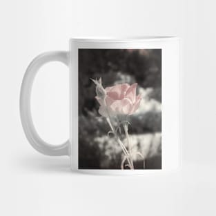 Soft Pink Rose Mug